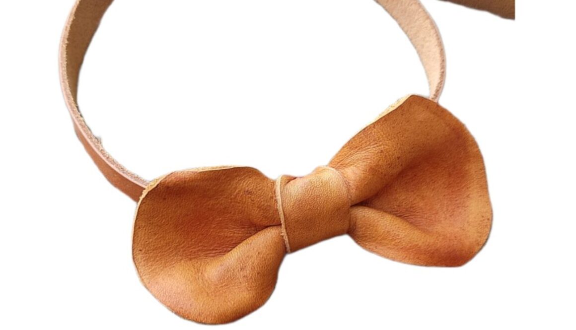 collar de perro lazada